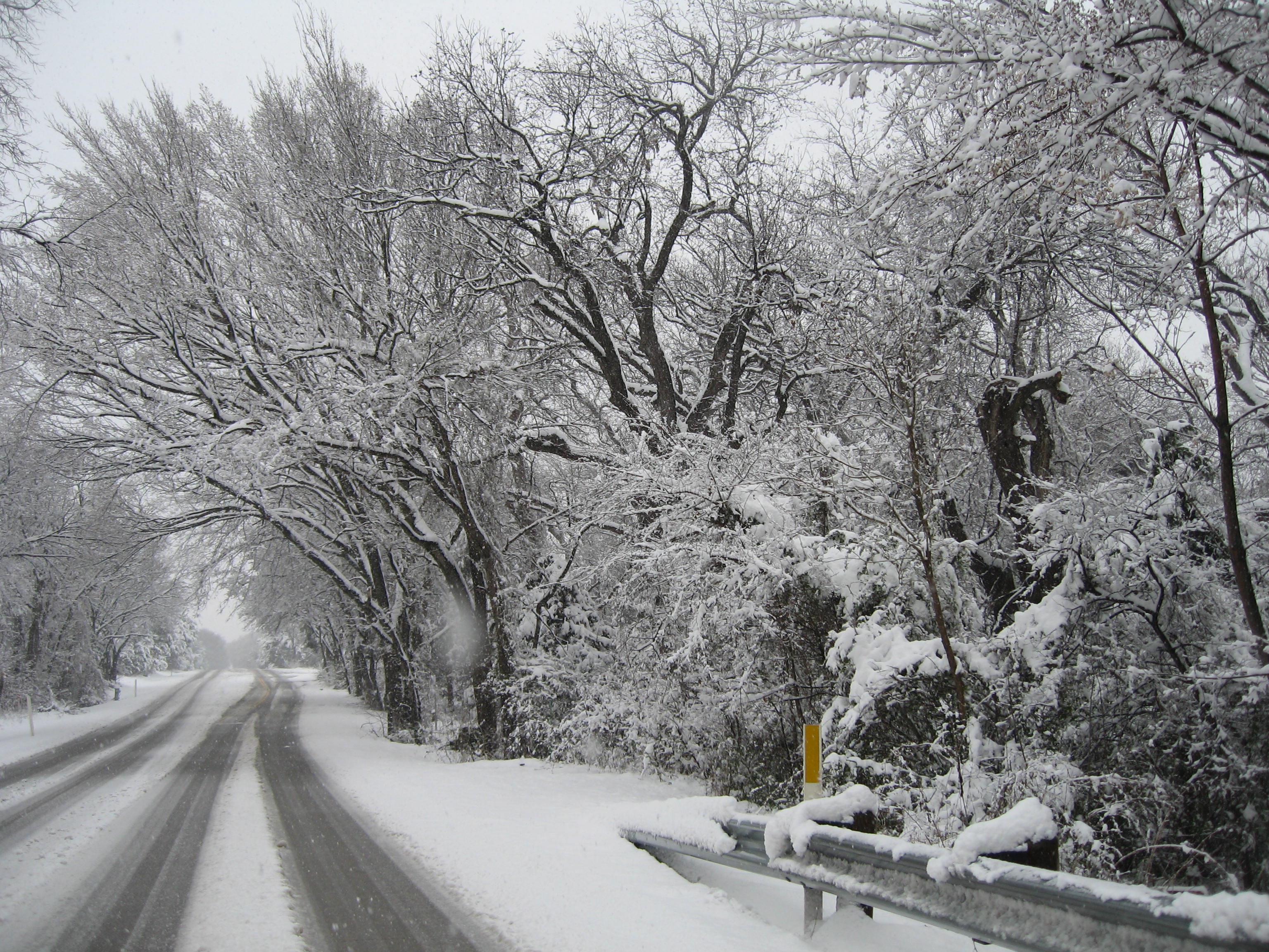 10.02.11 cedar hill snow scenes 029